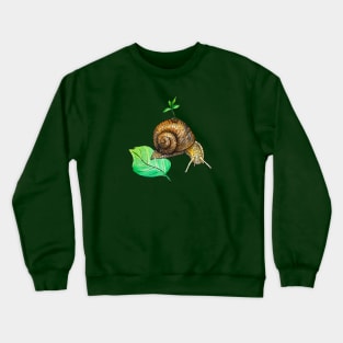 Snail Mail Crewneck Sweatshirt